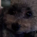 naochiiiii