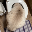 steelyknight#8573's avatar