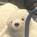 polarbearnsfw
