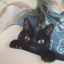 curiousjess