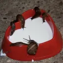 gastropodgaming