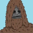 nightstalkernz
