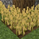 crops0751