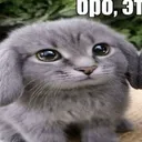 akiooo