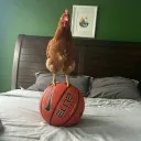 mlgsaladtosser