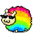 sirkomplete