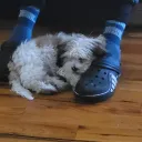 GodwurmTheSalted's Avatar