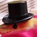 mr.noside