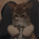 lazymind1337