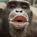 navs's Avatar