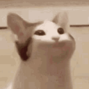 ayboob#4795's avatar