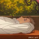 nfipnose