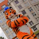 aotoratiger