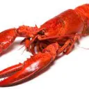 lobstercoc