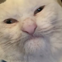 avatar Jewish_Master