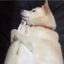 erogurokei