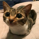 peepsing
