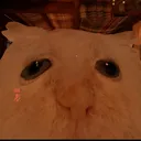deltucky