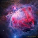 skyward2191