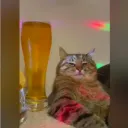 mrstealyofathoe avatar
