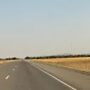 cammayo