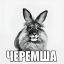 Аватар игрока