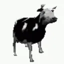 Niciboy's Avatar