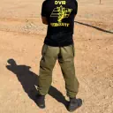 dvir800