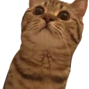 annanutaa
