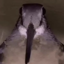 avatar ⏤͟͟͞   Ether ⏤͟͟͞