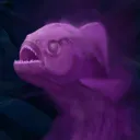 knapsak