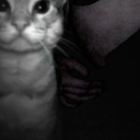 avatar not spook