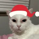.doyi