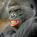 ablackguy008