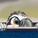 fish_birb