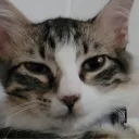 kaerrii