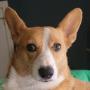 .enzuna#8854's avatar