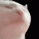 astroluxx