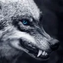 shidowolf