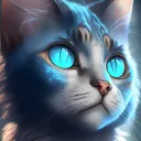 ragdoll3333