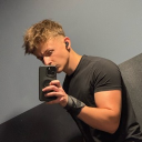 avatar -STEEL THE WILD