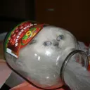 yoyostik