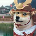 doge81