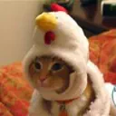 chickenkings