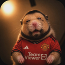 avatar dEJW