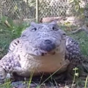 avatar prod_bytrevor