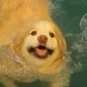 mothebad
