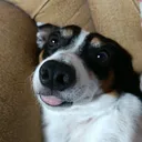 ferdotgg