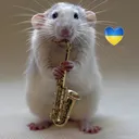 gubben72