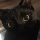 bambadjann
